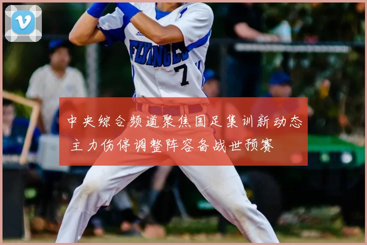 中央综合频道聚焦国足集训新动态 主力伤停调整阵容备战世预赛