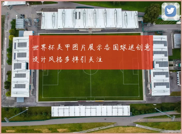 世界杯美甲图片展示各国球迷创意设计风格多样引关注