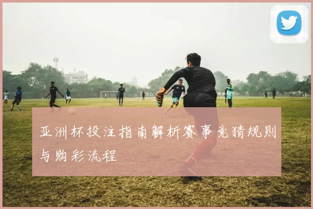 亚洲杯投注指南解析赛事竞猜规则与购彩流程