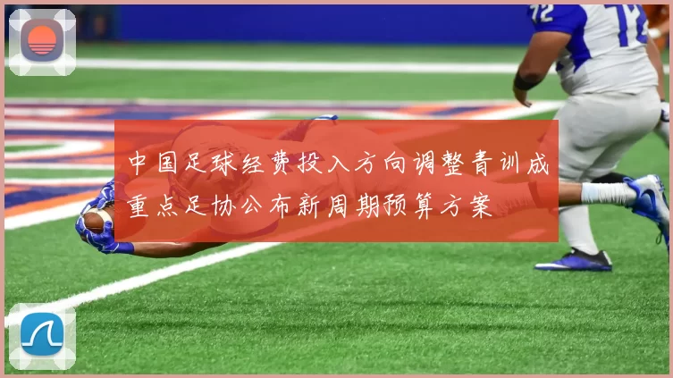 中国足球经费投入方向调整青训成重点足协公布新周期预算方案